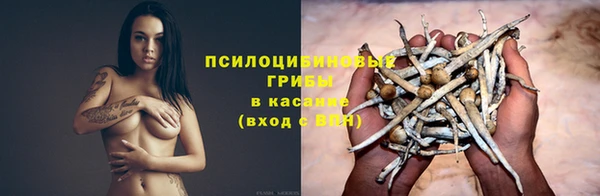 хмурый Белокуриха