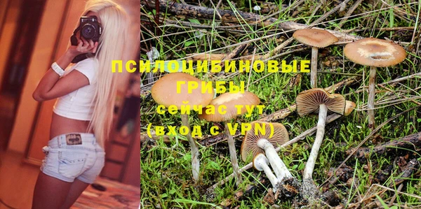 индика Белоозёрский