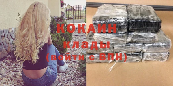 индика Белоозёрский