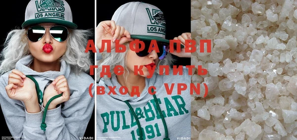 хмурый Белокуриха