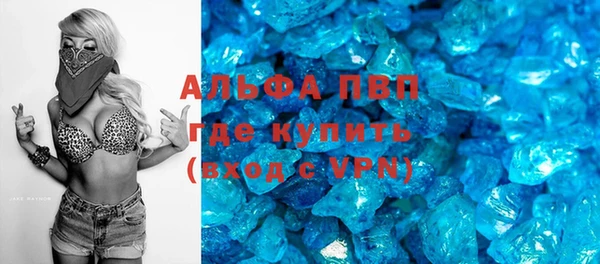 индика Белоозёрский
