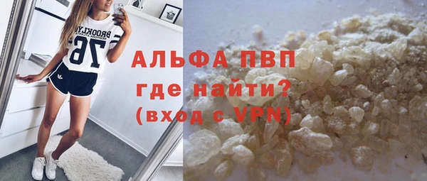 хмурый Белокуриха