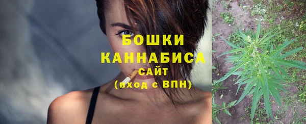 индика Белоозёрский