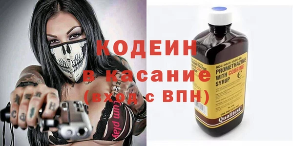 хмурый Белокуриха