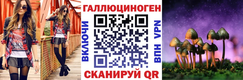 цена   Шагонар  mega ссылки  Псилоцибиновые грибы прущие грибы 